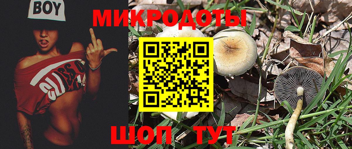 Псилоцибиновые грибы MAGIC MUSHROOMS Елец